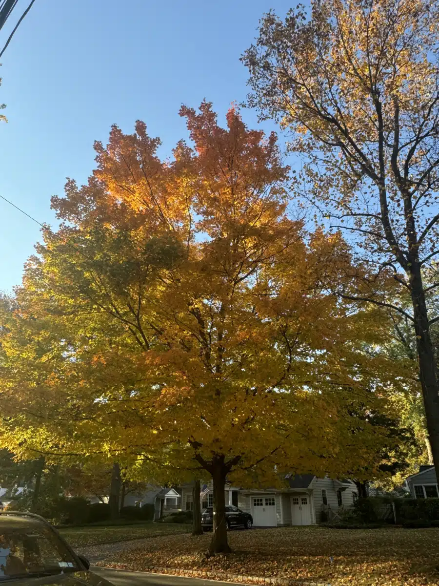 Summit Oaks Hospital